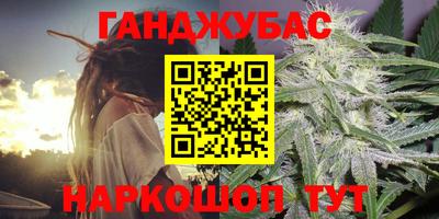 молекула духа Будённовск